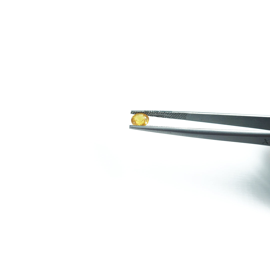 Natural Bangkok Yellow Sapphire Calibrated Rounds | 5mm & 6mm