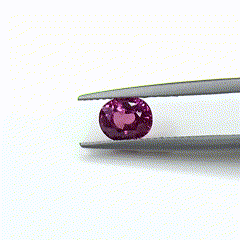 100% Natural Unheated Ruby Oval | 1.66cts