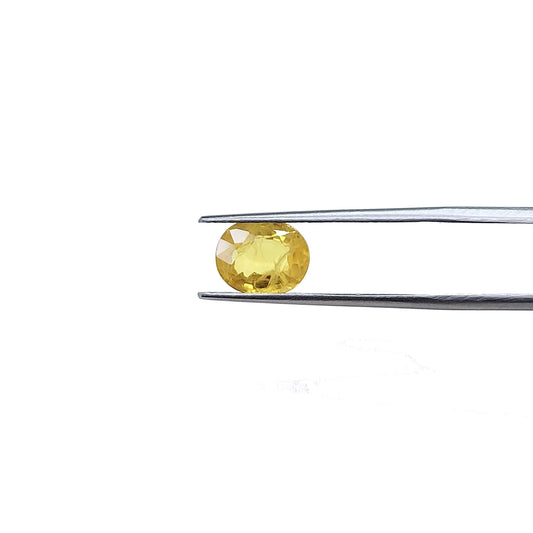 Natural Heated Yellow Sapphire 2-3cts Size Ovals