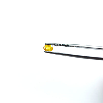 Natural Bangkok Yellow Sapphire Calibrated Ovals | 3x5mm & 6x4mm