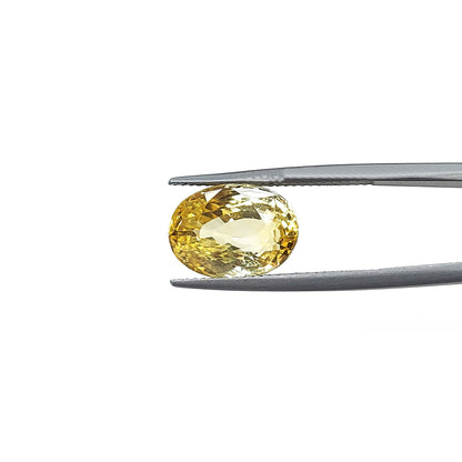 Natural Unheated Yellow Sapphire | 9.45cts