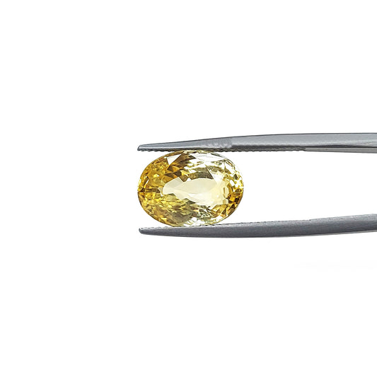 Natural Unheated Yellow Sapphire | 9.45cts