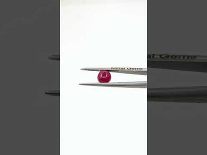 R-R101