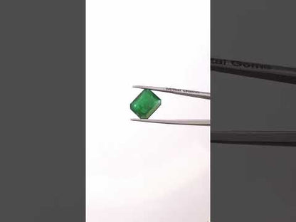 Natural Zambian Emerald Octagon | 7.87cts
