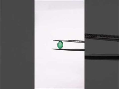 Natural Zambian Emerald Calibrated Ovals | 5x7mm & 6x8mm