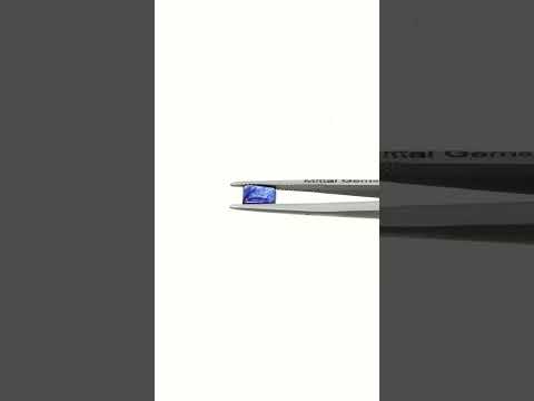BS-OC23